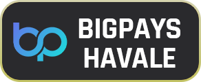 Bigpays